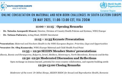 Online Consultation on Maternal and Newborn Health Challenges in South-Eastern Europe