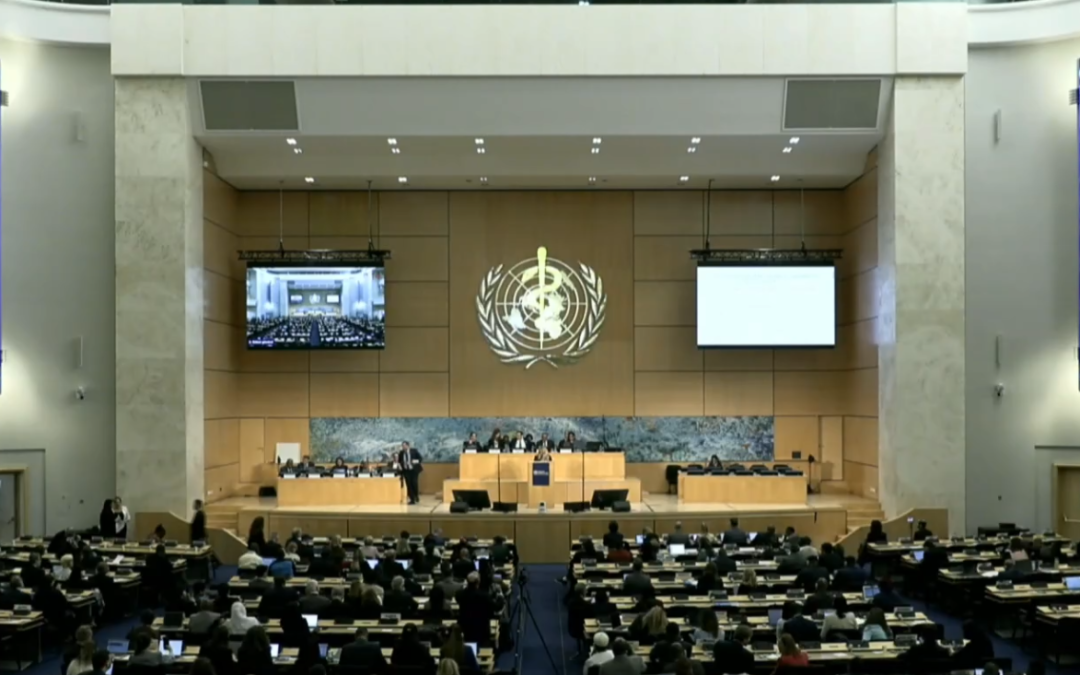 SEEHN Represented at the 79th World Health Assembly